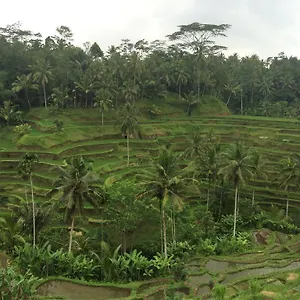 Homestay Pangkung House, Ubud (Bali)